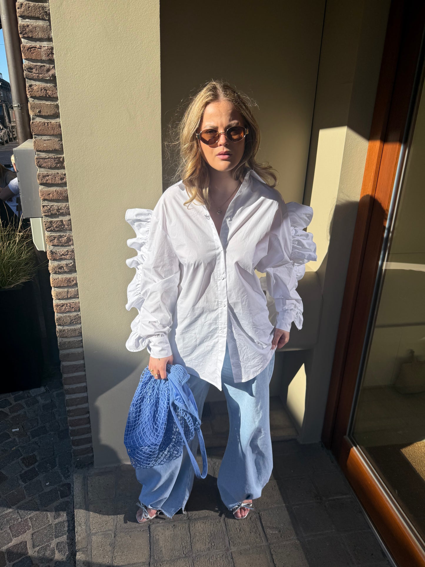 Ruffled Sleeve Blouse